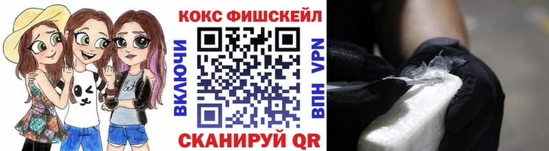 Купить закладки  Ряжск  Cocaine Эквадор 